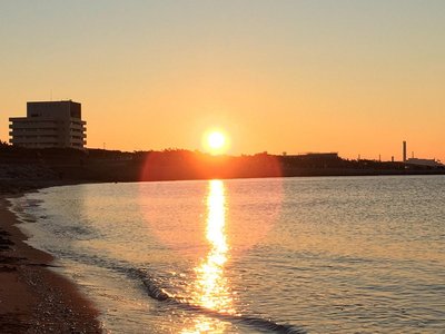 🌳 이이나 파크 가와구치 이미지 2